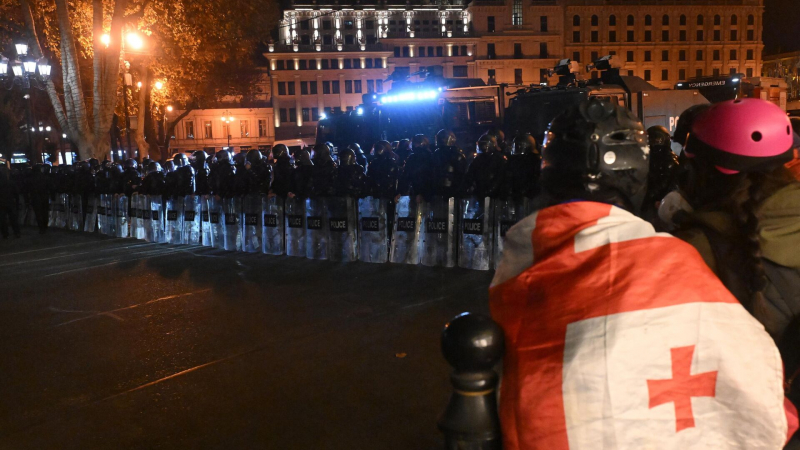 Протесты в Грузии профинансированы Западом, заявила правозащитница