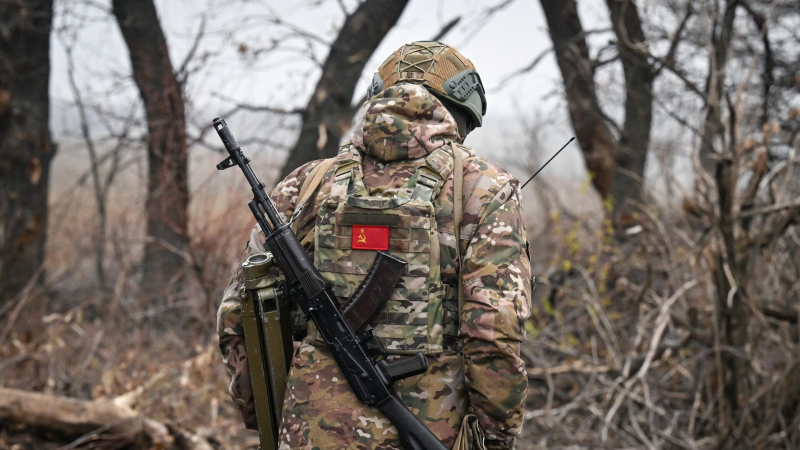 Рогов: российские войска вошли в Сухие Ялы и Константинопольское в ДНР