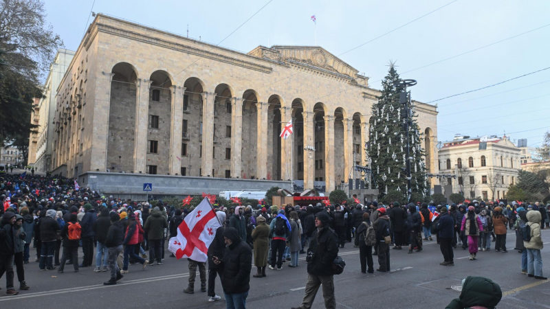 У парламента Грузии в Тбилиси продолжается митинг протеста